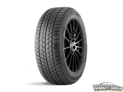 Double Star DW09 235/55 R17 99T