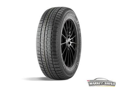 Double Star DW05 205/55 R16 91T