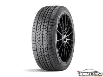 Double Star DW02 195/65 R15 91T