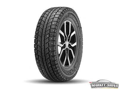 Double Star DW07 205/55 R16 91T
