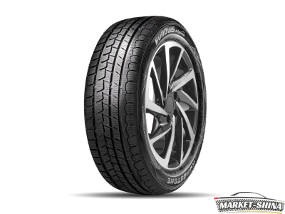 Roadstone Eurovis Alpine WH1 205/55 R16 91H
