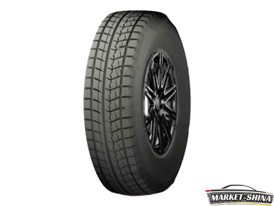 Fronway Icepower 868 205/55 R16 91H
